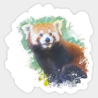 Red Panda Animal Wildlife Jungle Nature Safari Watercolor Sticker